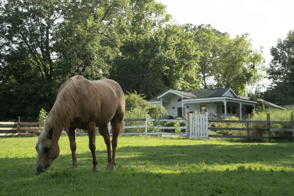 7 more unique Airbnbs in North Alabama 7 more unique Airbnbs in North Alabama