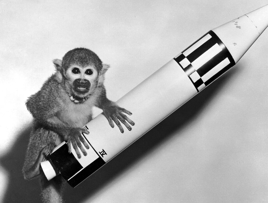Meet Miss Baker—Huntsville’s famous squirrel monkey who made space history Meet Miss Baker—Huntsville’s famous squirrel monkey who made space history