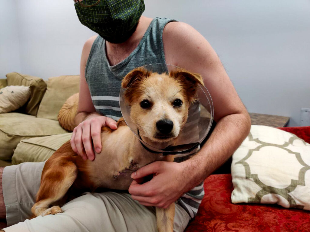 It’s kitten and puppy season, here’s where you can adopt now It’s kitten and puppy season, here’s where you can adopt now