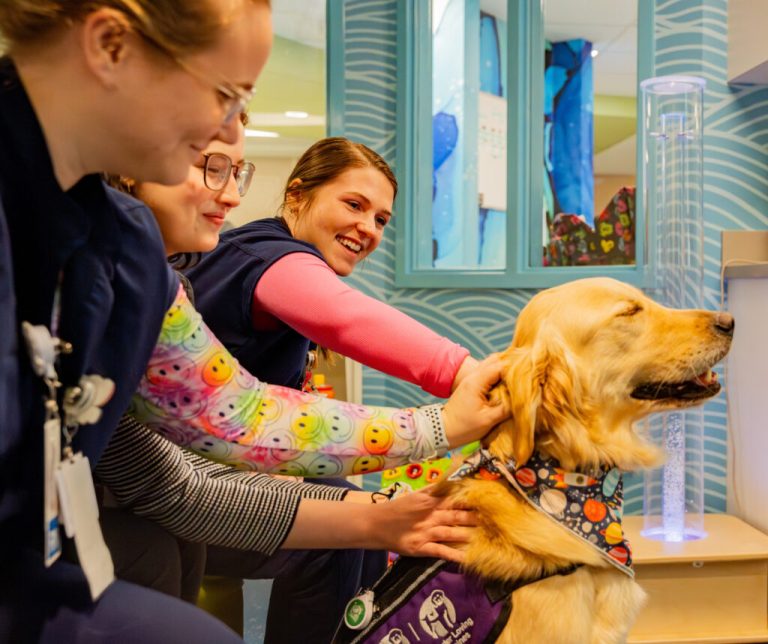 Meet the adorable facility dogs at Huntsville Hospital now Meet the adorable facility dogs at Huntsville Hospital now