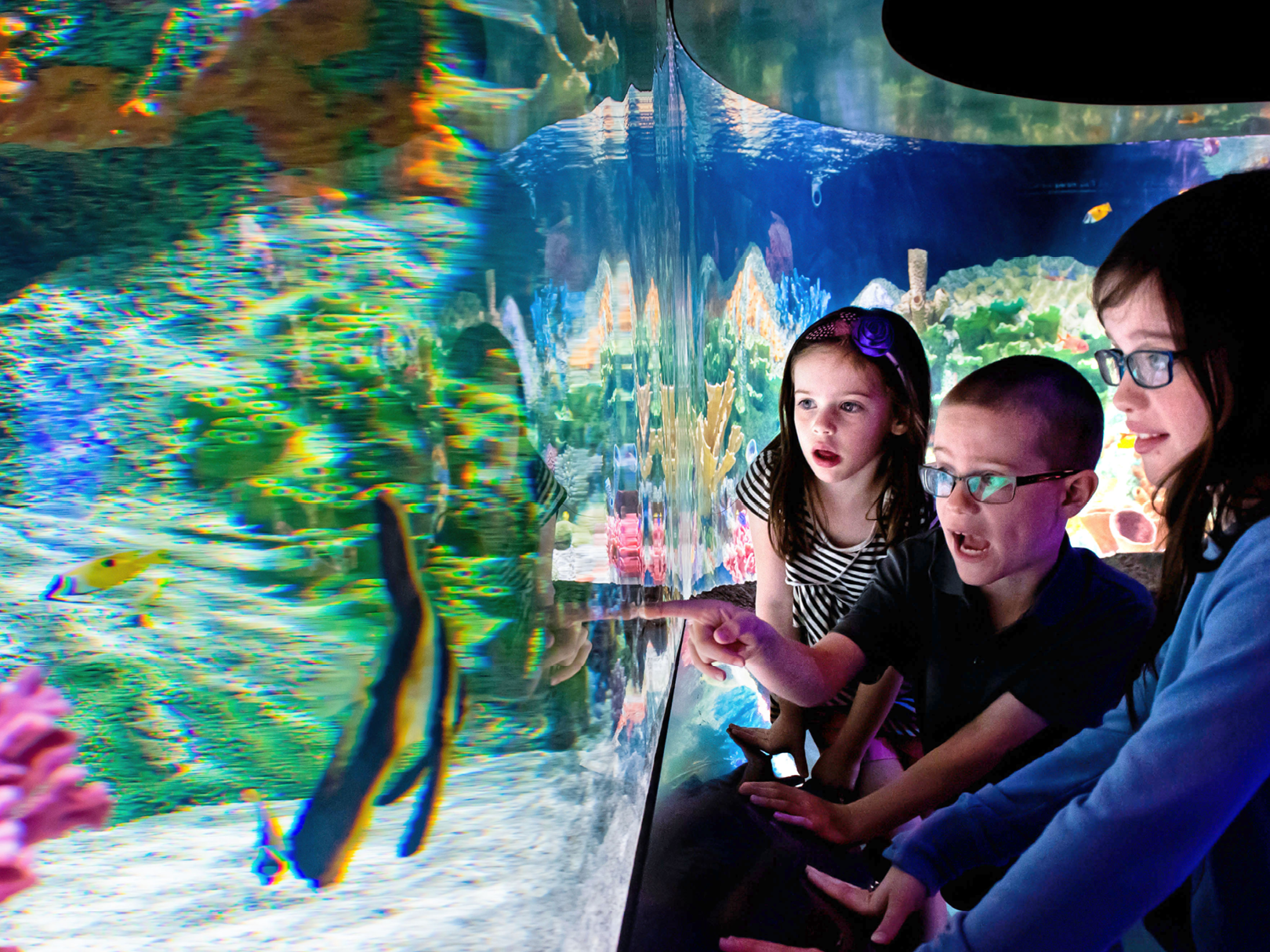 Everything you need to know about the coolest natural science museum in Decatur Everything you need to know about the coolest natural science museum in Decatur