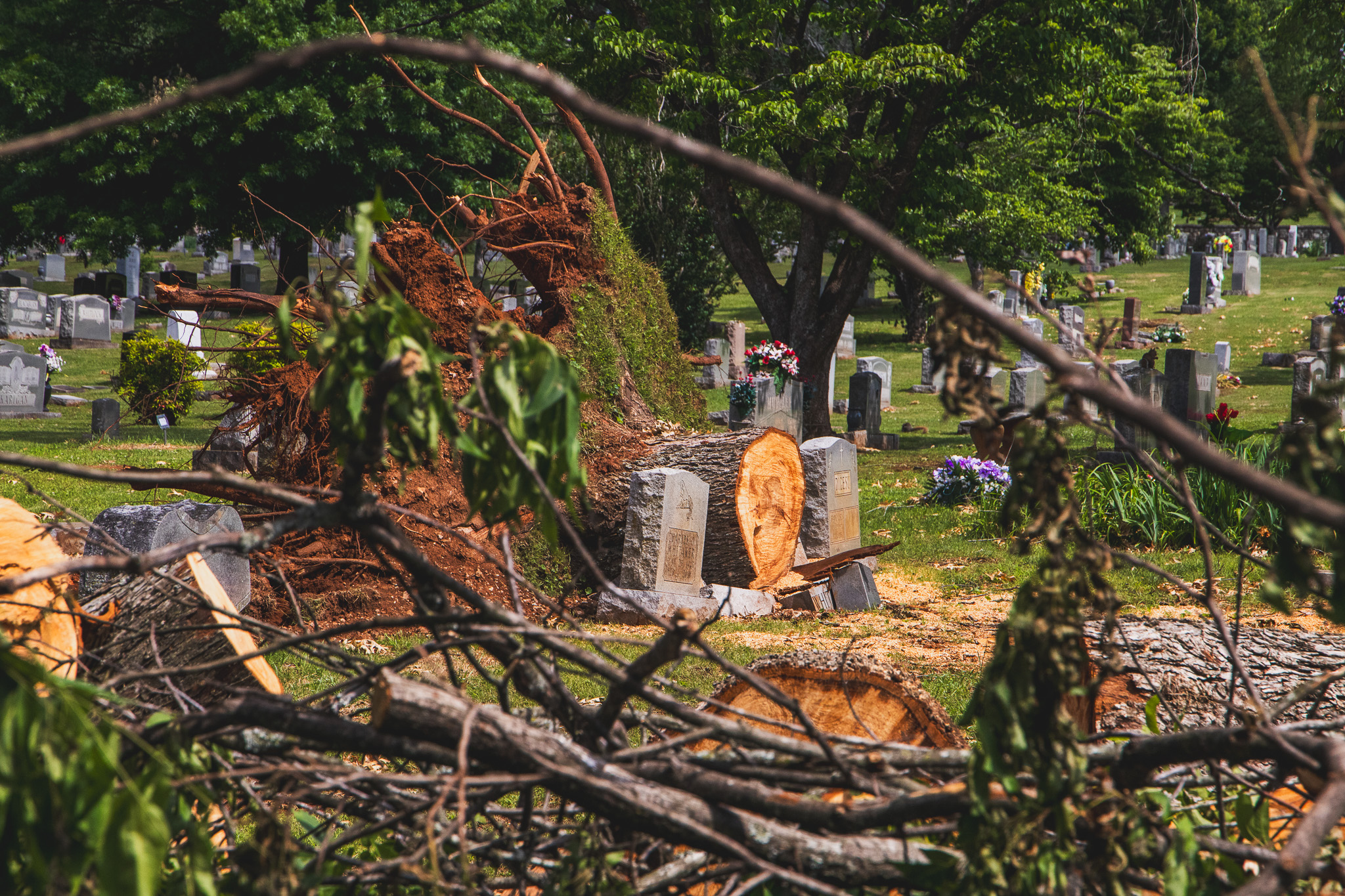 Maple Hill Cemetery is now open but still damaged, here’s how you can help Maple Hill Cemetery is now open but still damaged, here’s how you can help