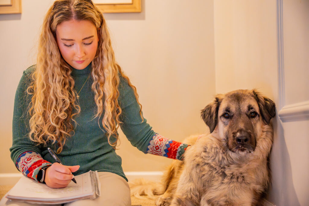 Find a new 4-legged friend this holiday season at Huntsville Animal Services Find a new 4-legged friend this holiday season at Huntsville Animal Services