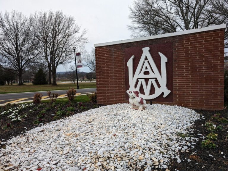 Check out who is hiring right here in the Rocket City this week Check out who is hiring right here in the Rocket City this week