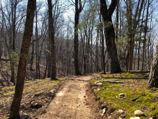 New trail now open at Green Mountain Nature Preserve New trail now open at Green Mountain Nature Preserve