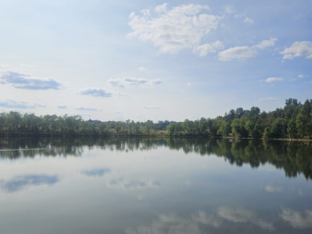 Want somewhere new to explore? Visit these 3 underappreciated places in Harvest Want somewhere new to explore? Visit these 3 underappreciated places in Harvest