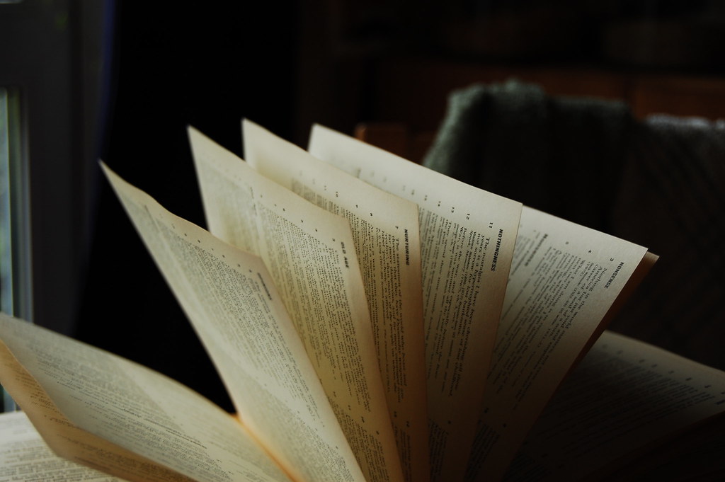 NEW: The Bookwyrm will be opening its doors very soon NEW: The Bookwyrm will be opening its doors very soon