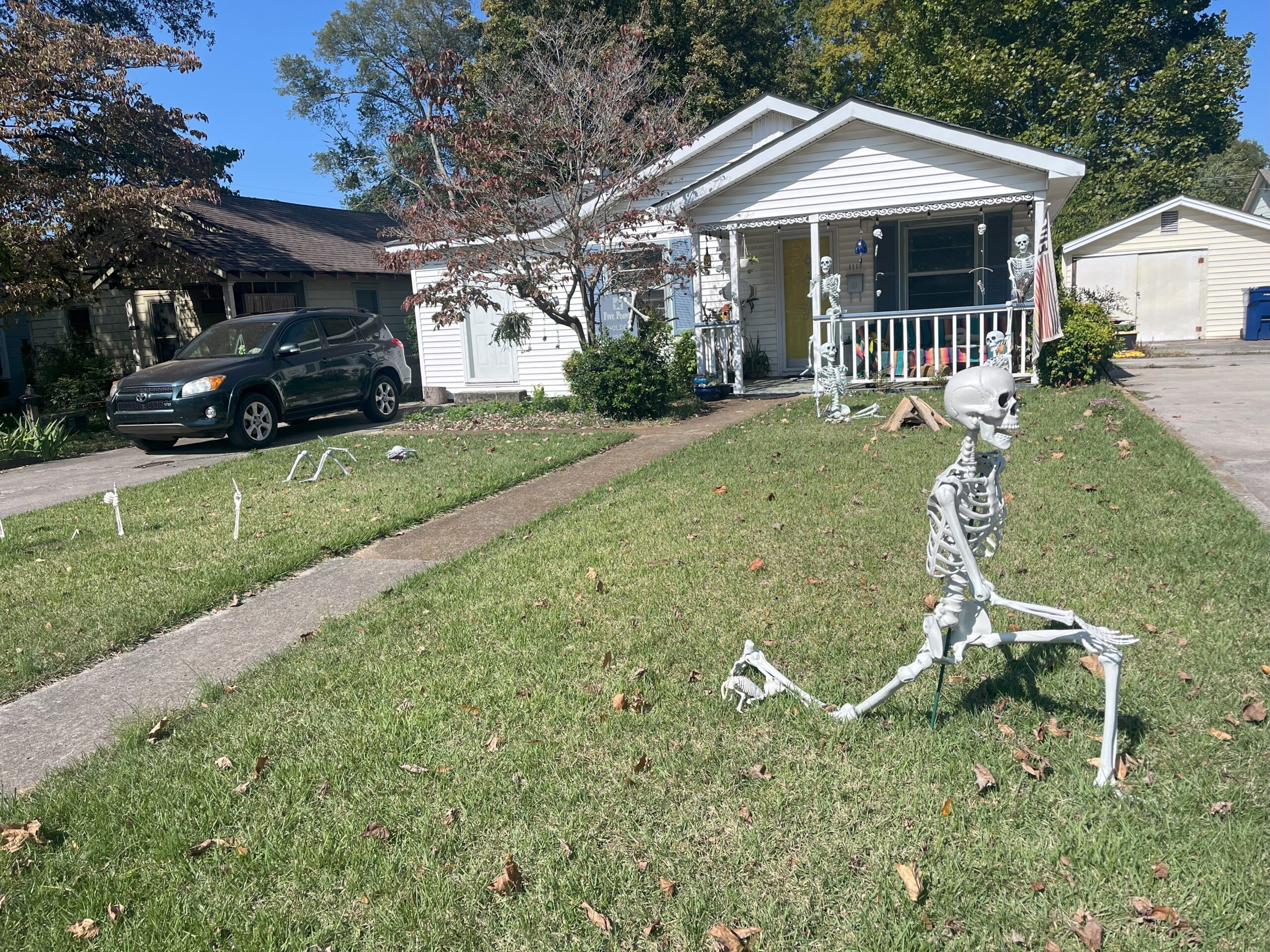 POV: You live in a city that loves Halloween POV: You live in a city that loves Halloween