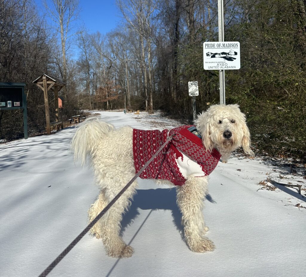 Make sure you remember your pets + plants during cold weather Make sure you remember your pets + plants during cold weather