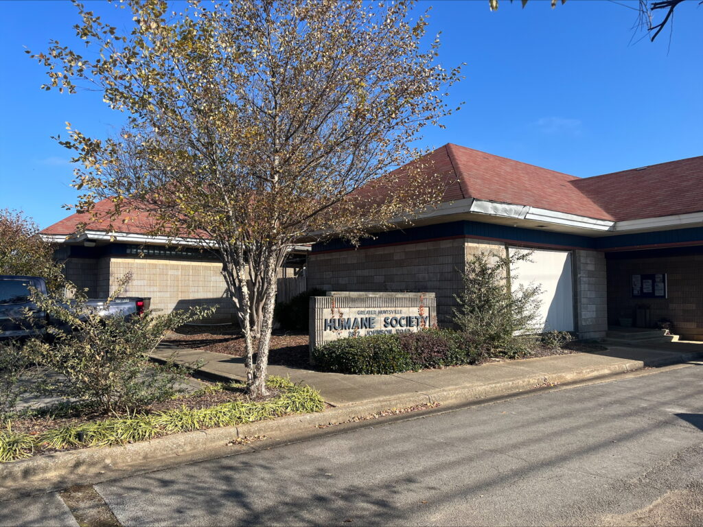 Need a new furry friend? Adopt from these 5 Huntsville shelters Need a new furry friend? Adopt from these 5 Huntsville shelters