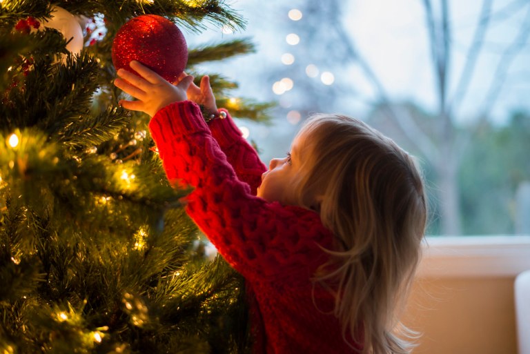 Here’s what you can do with your old Christmas tree Here’s what you can do with your old Christmas tree