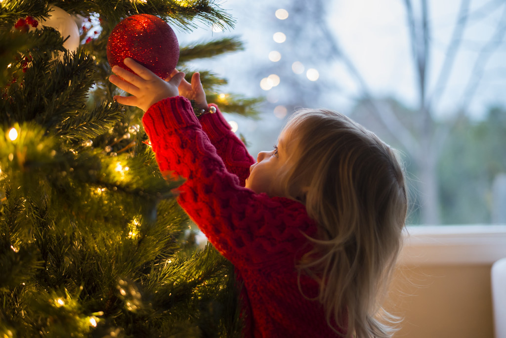 Here’s what you can do with your old Christmas tree Here’s what you can do with your old Christmas tree
