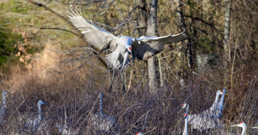 Here are 15 cool + exciting events happening this weekend in the Rocket City Here are 15 cool + exciting events happening this weekend in the Rocket City