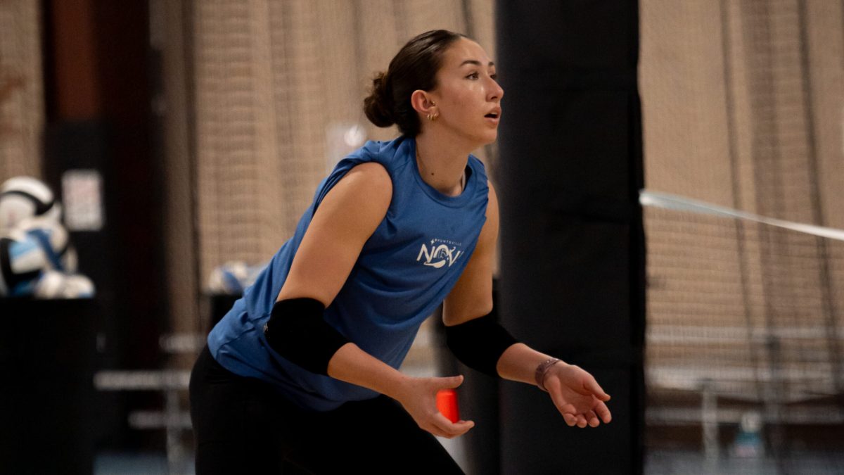 What to know about Huntsville’s new semi-pro volleyball team What to know about Huntsville’s new semi-pro volleyball team