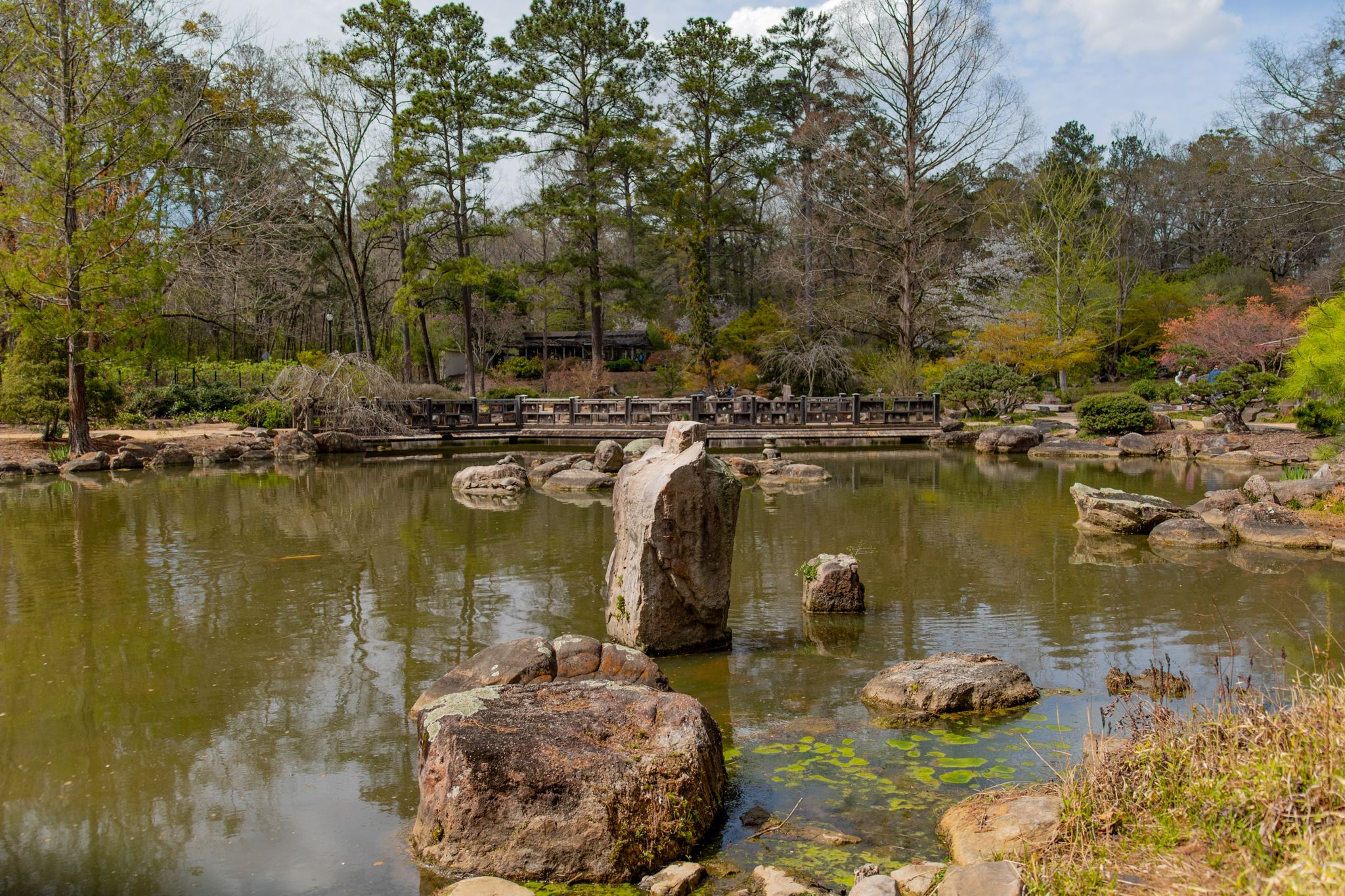 Spring is around the corner— here are 7 picnic spots to soak up the sun around Huntsville Spring is around the corner— here are 7 picnic spots to soak up the sun around Huntsville