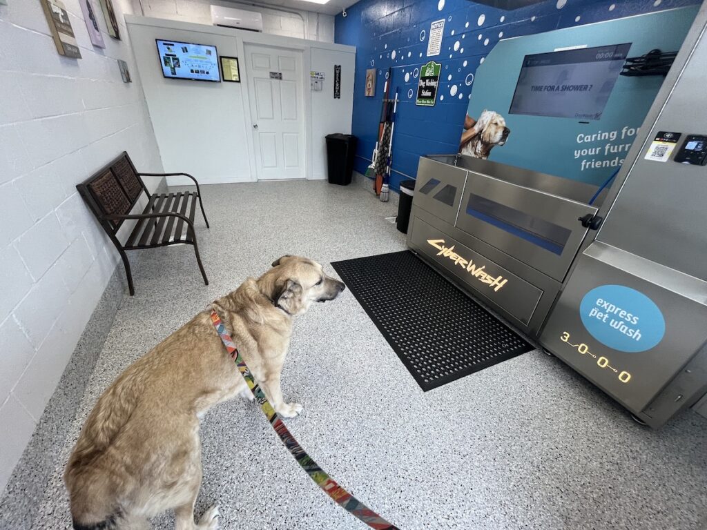 7 ‘celebrities’ talk you through this new dog wash in Priceville 7 ‘celebrities’ talk you through this new dog wash in Priceville