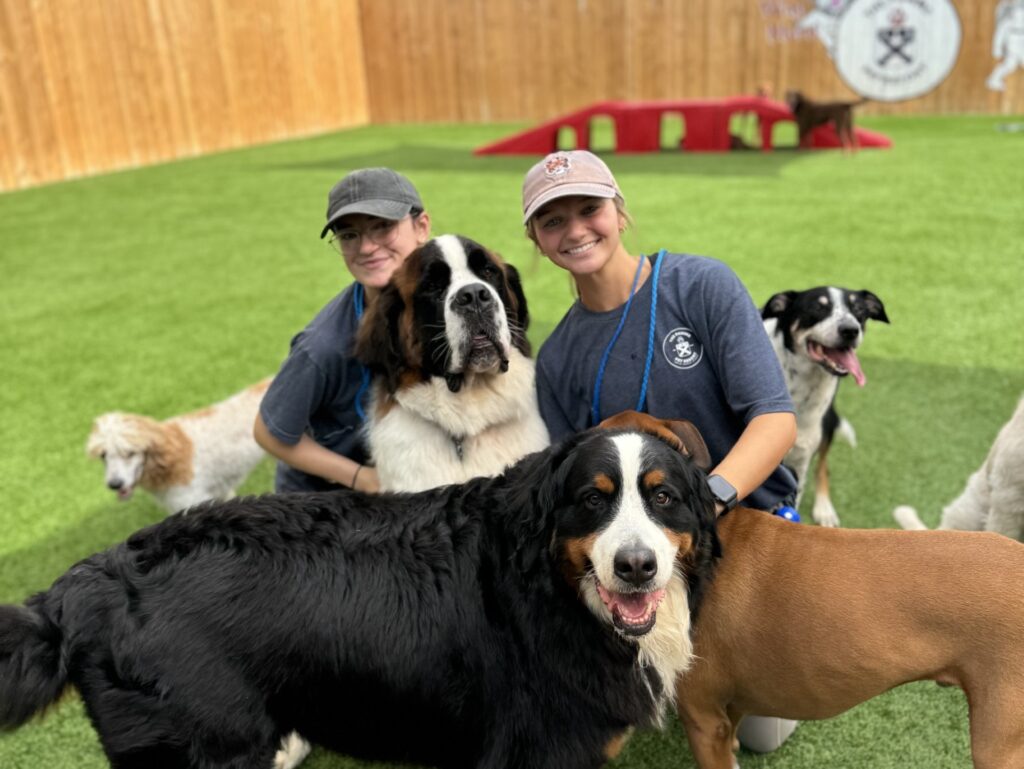 Hear from Huntsville dog parents on why they love this pet resort Hear from Huntsville dog parents on why they love this pet resort