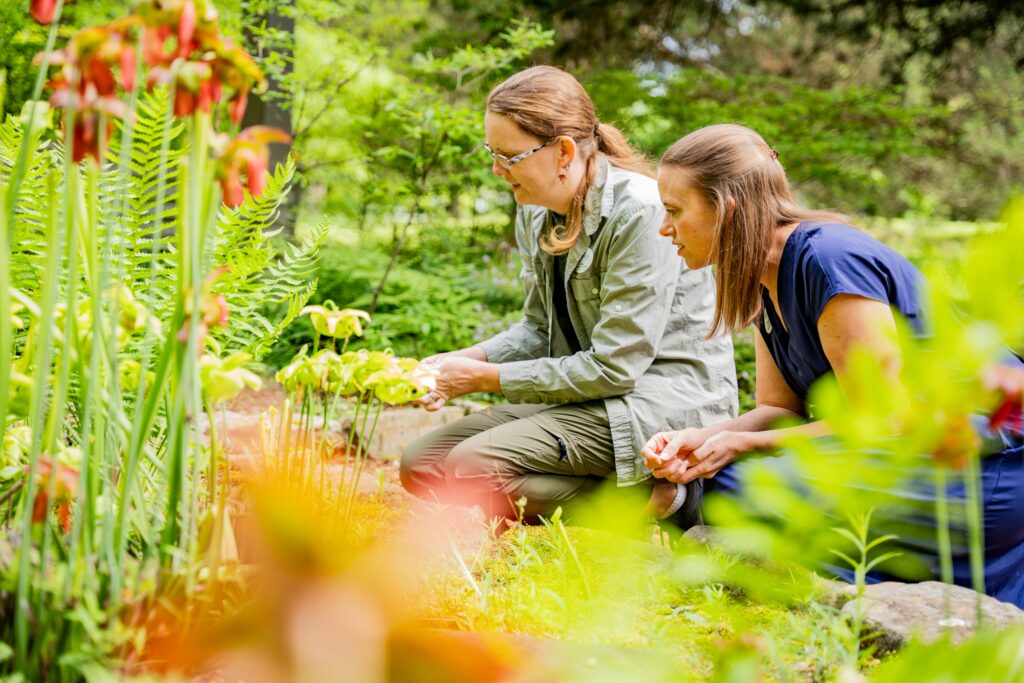 How a 20-foot troll, funky little trees + over 30,000 azaleas help make life better in Huntsville + beyond How a 20-foot troll, funky little trees + over 30,000 azaleas help make life better in Huntsville + beyond