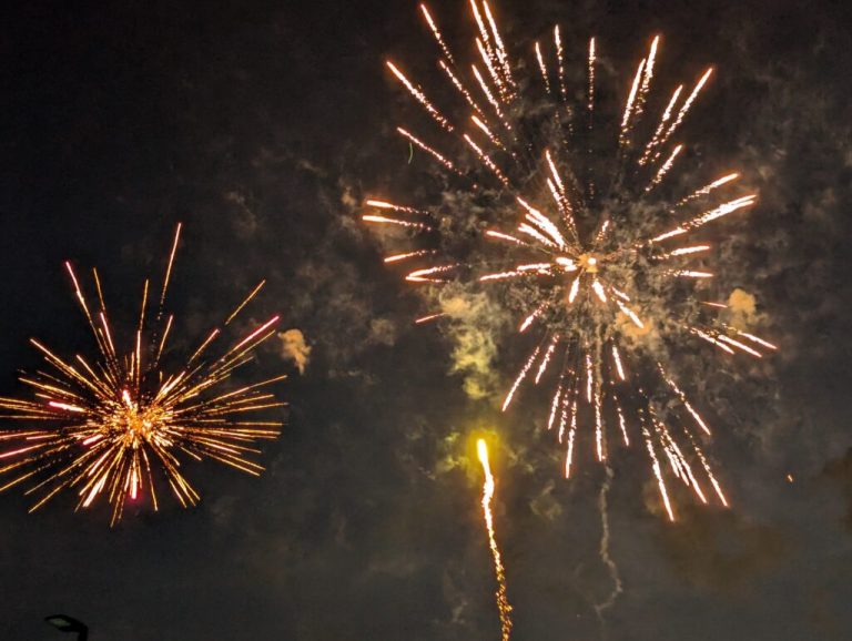Here’s how to keep yourself + your pets safe this 4th of July Here’s how to keep yourself + your pets safe this 4th of July