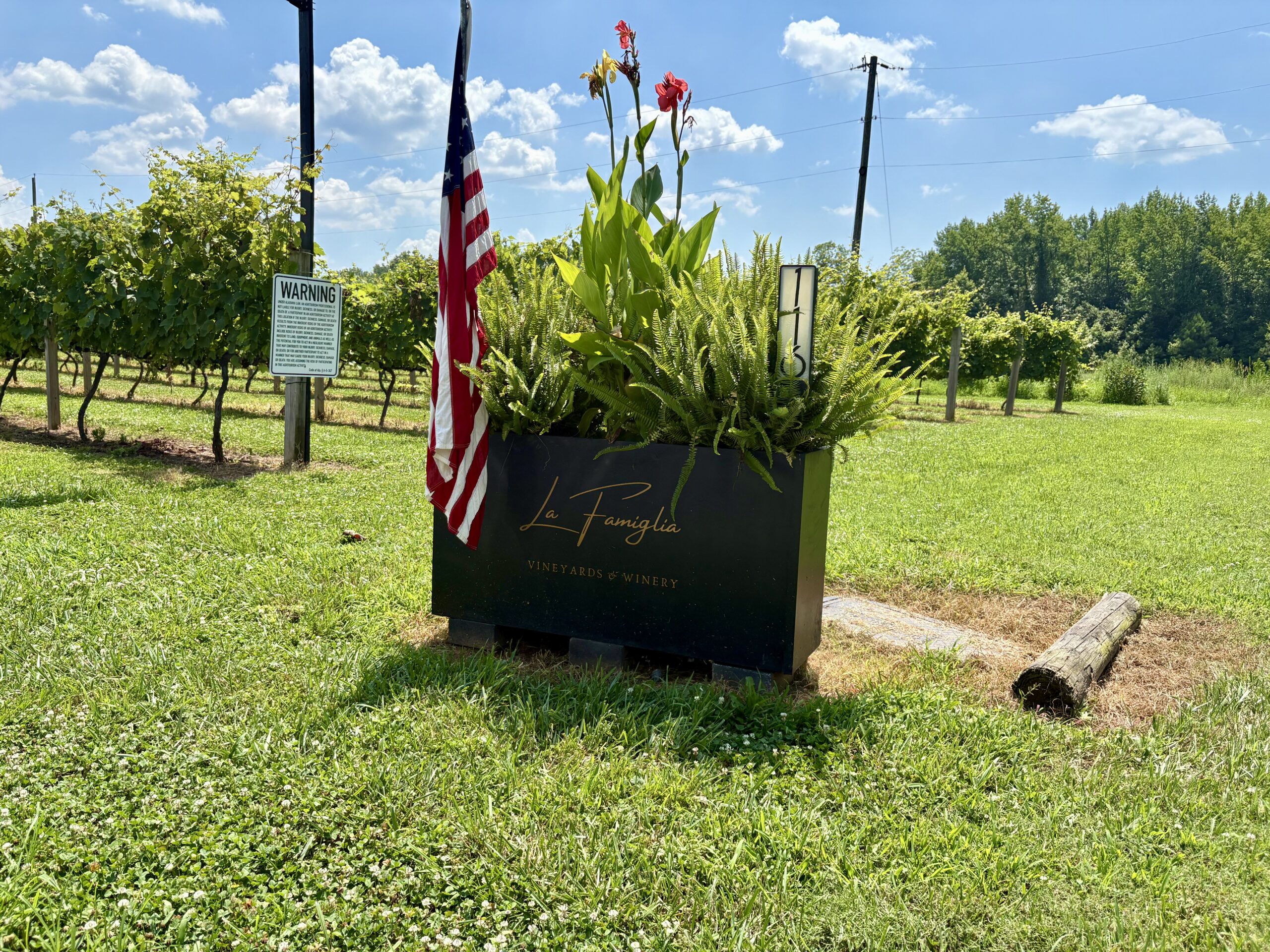 A taste of Italy comes to North Alabama—a new vineyard is open A taste of Italy comes to North Alabama—a new vineyard is open