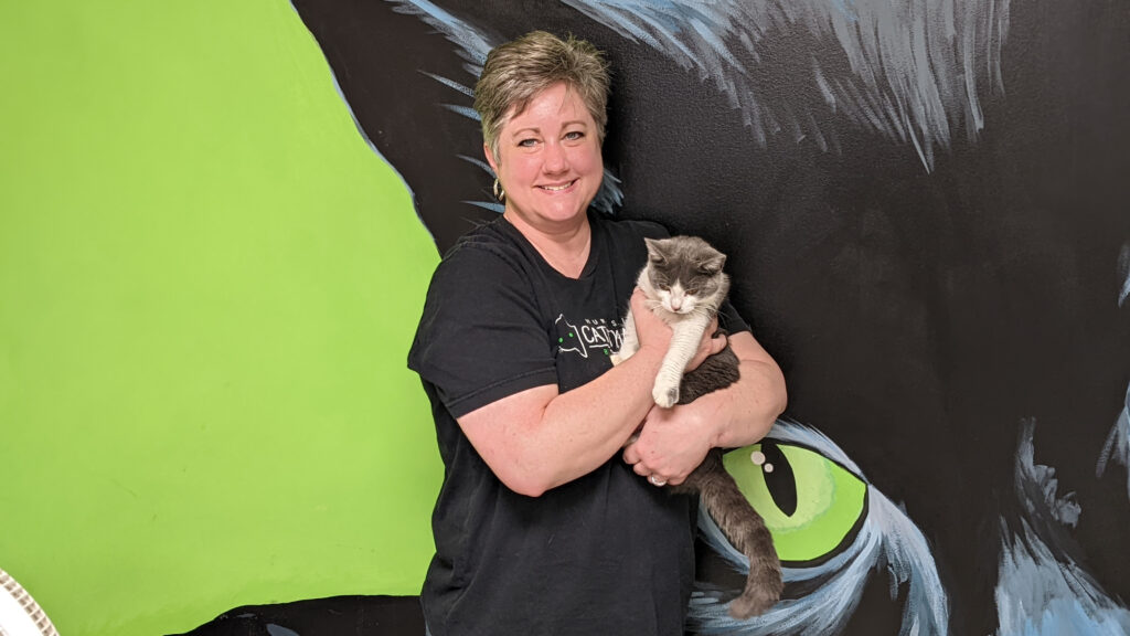 Find your new 4-legged family member at one of these Huntsville-area shelters Find your new 4-legged family member at one of these Huntsville-area shelters