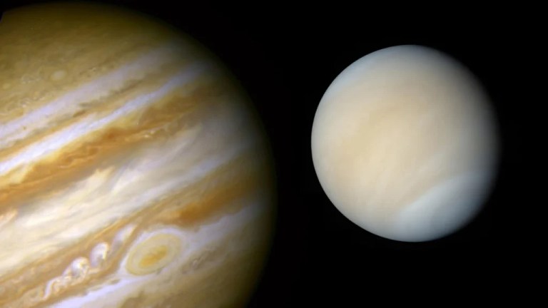 Venus + Jupiter will glow together in a rare alignment in August Venus + Jupiter will glow together in a rare alignment in August