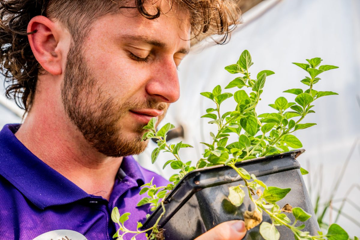 Jazz in the Park, Fall Plant Sale + more exciting weekend events here in Huntsville Jazz in the Park, Fall Plant Sale + more exciting weekend events here in Huntsville