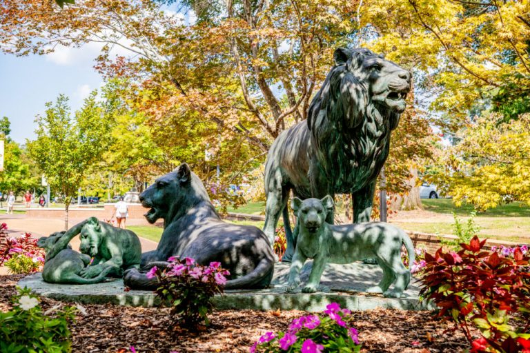 UNA to start fall semester with new logo + new branding UNA to start fall semester with new logo + new branding