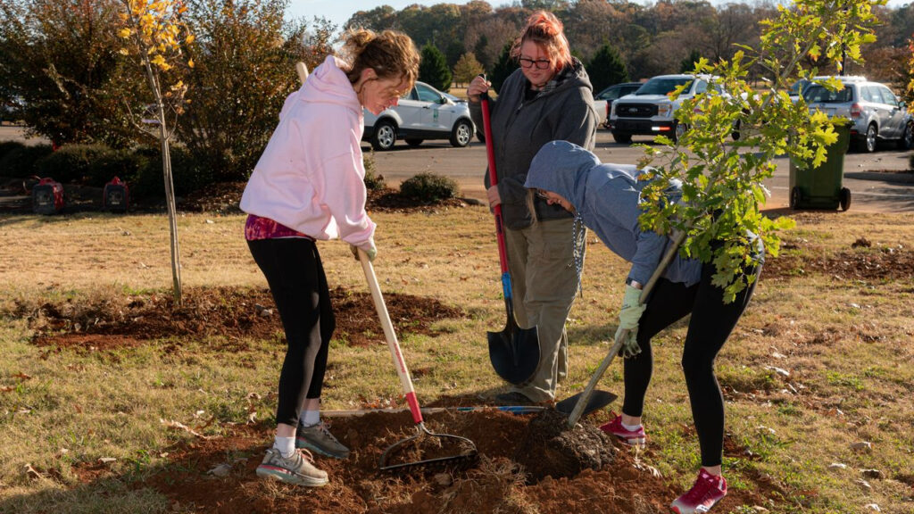 Mayor’s Tree Planting Day is back at Brahan Spring Park Mayor’s Tree Planting Day is back at Brahan Spring Park