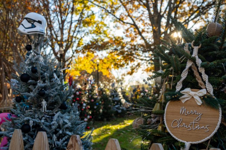 Check out these 3 upcoming tree lightings in Huntsville Check out these 3 upcoming tree lightings in Huntsville