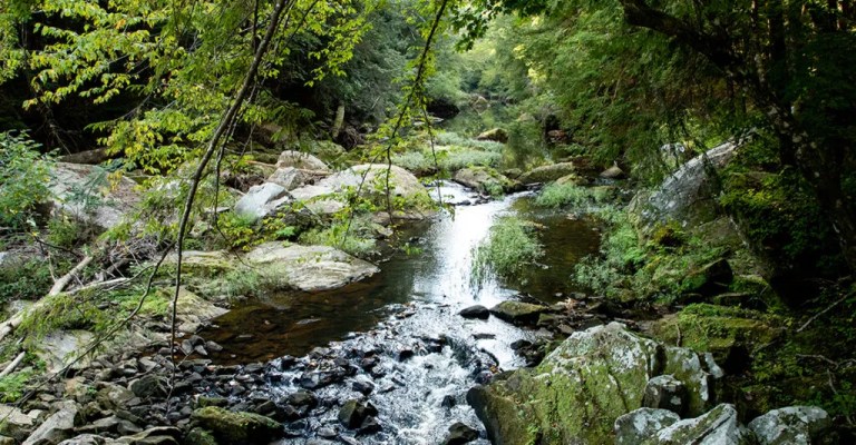 The history behind north Alabama’s greatest natural wonder The history behind north Alabama’s greatest natural wonder