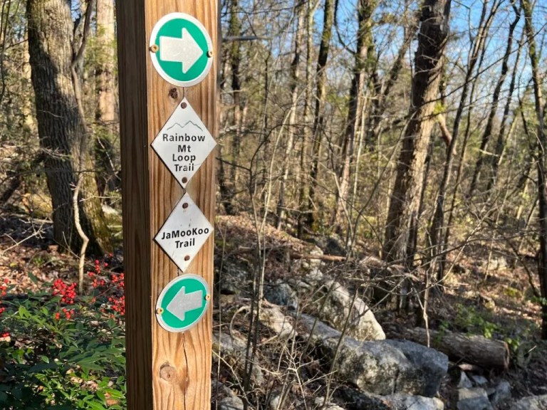 It’s never too cold for some amazing winter hikes in North Alabama It’s never too cold for some amazing winter hikes in North Alabama