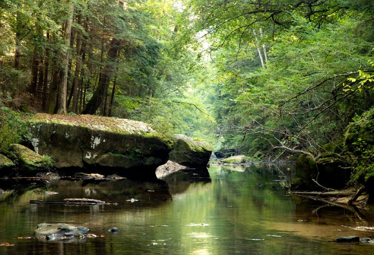 Conserving Alabama’s beauty + why it matters Conserving Alabama’s beauty + why it matters