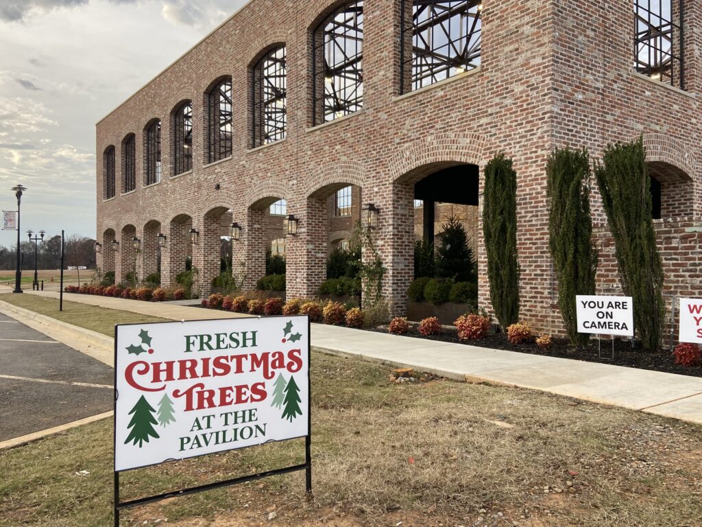 Where to find live Christmas trees in North Alabama Where to find live Christmas trees in North Alabama