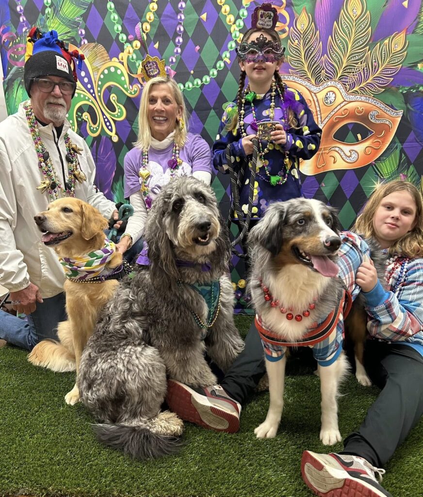 Help animals find homes now by supporting dog royalty in the River City Help animals find homes now by supporting dog royalty in the River City