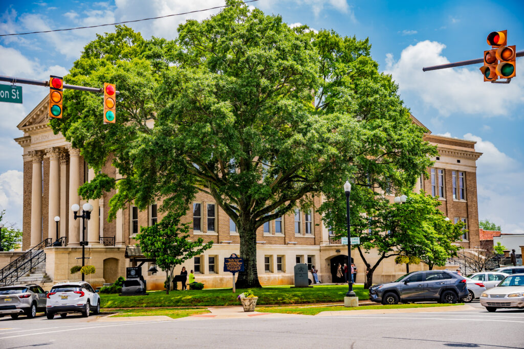 Athens recognized by global nonprofit for environmental efforts