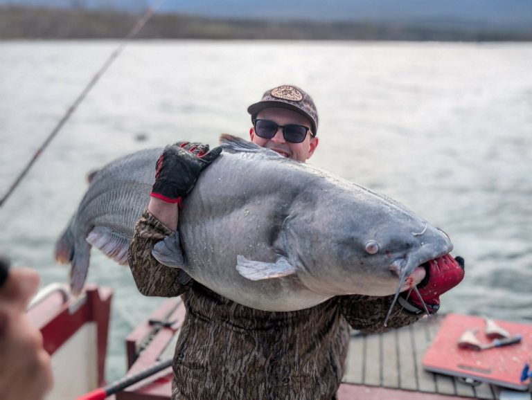 Man catches enormous 80+ lb. catfish in Lake Guntersville Man catches enormous 80+ lb. catfish in Lake Guntersville