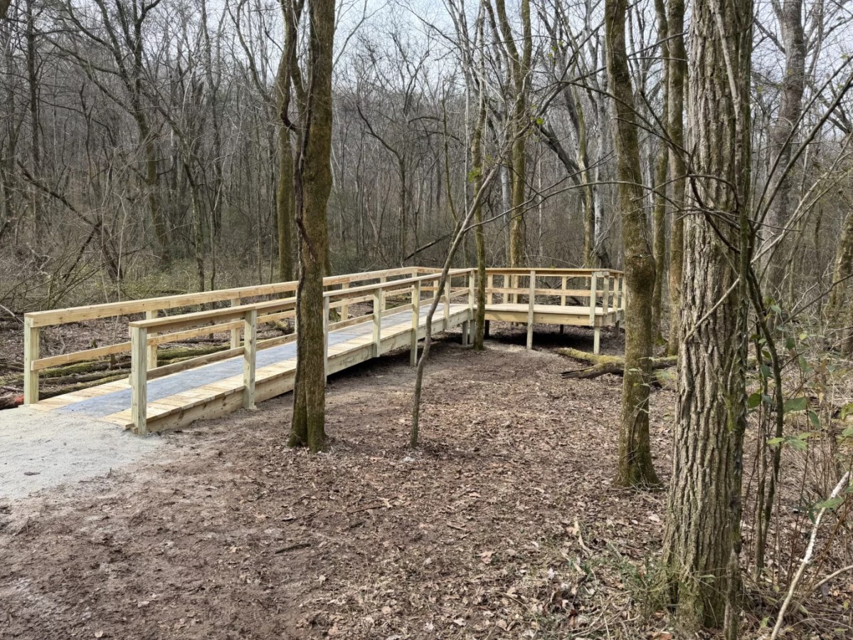New birding platform opens at Chapman Mountain Nature Preserve New birding platform opens at Chapman Mountain Nature Preserve