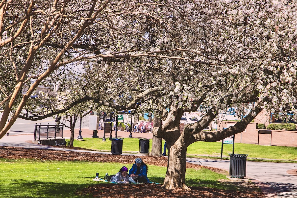 Taurus season is here: Here’s your zodiac-inspired Huntsville day Taurus season is here: Here’s your zodiac-inspired Huntsville day