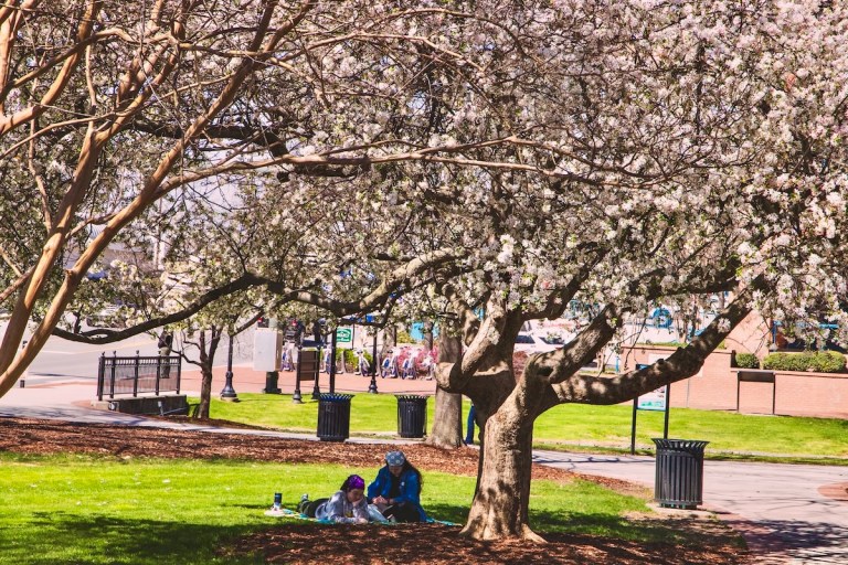 Taurus season is here: Here’s your zodiac-inspired Huntsville day Taurus season is here: Here’s your zodiac-inspired Huntsville day