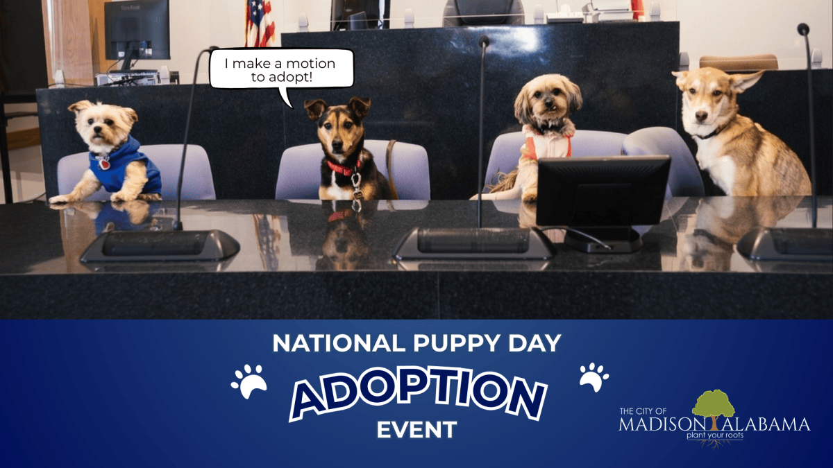 National Puppy Day adoption event in Madison on March 23 National Puppy Day adoption event in Madison on March 23