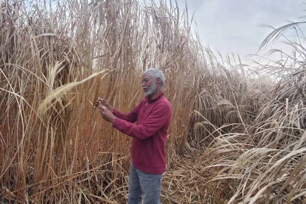 Alabama A&M mourns loss of long time professor and scientist Alabama A&M mourns loss of long time professor and scientist