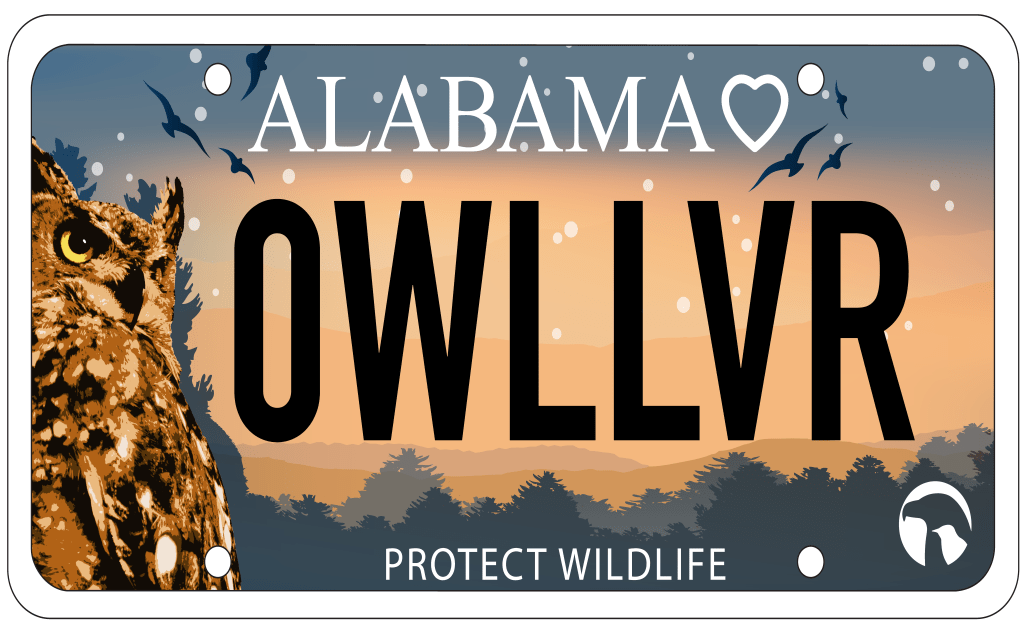 New wildlife rescue license plate: How to get the owl tag New wildlife rescue license plate: How to get the owl tag