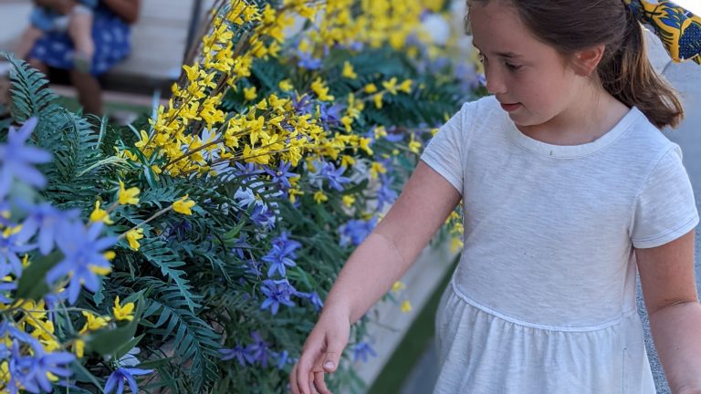 Spring plant sales in the Rocket City: Now’s the time Spring plant sales in the Rocket City: Now’s the time