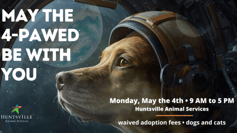 Huntsville Animal Services offering free cat + dog adoption on May 4 Huntsville Animal Services offering free cat + dog adoption on May 4