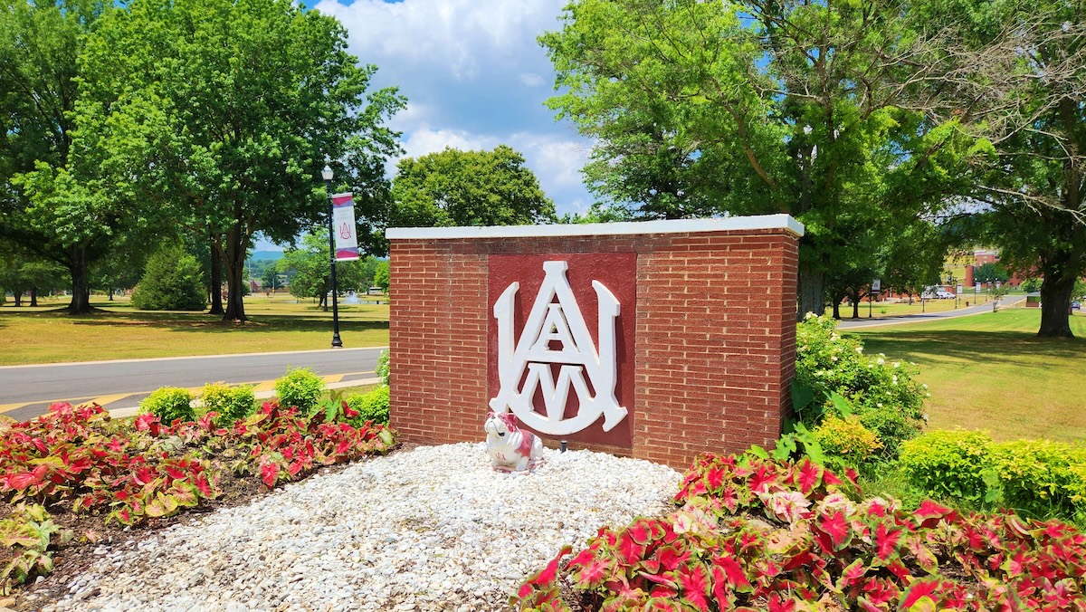 Alabama A&M students’ video places runner-up in nationwide Netflix challenge Alabama A&M students’ video places runner-up in nationwide Netflix challenge
