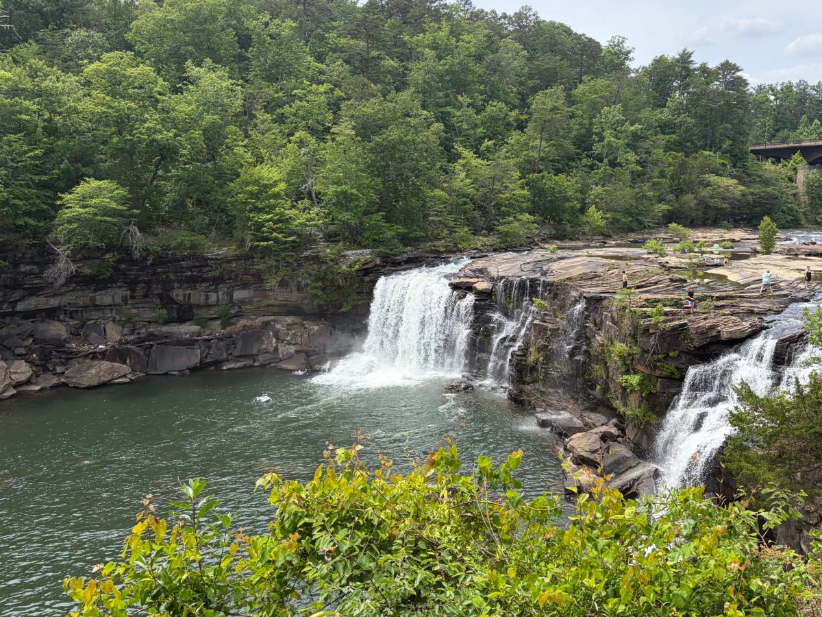 5 beautiful swimming holes in North Alabama: everything you need to know 5 beautiful swimming holes in North Alabama: everything you need to know