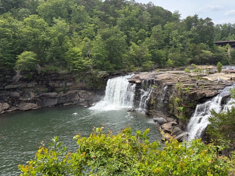 5 beautiful swimming holes in North Alabama: everything you need to know 5 beautiful swimming holes in North Alabama: everything you need to know