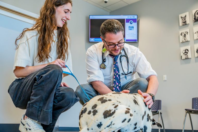 New to Huntsville? Here’s a newcomers guide to local veterinarians New to Huntsville? Here’s a newcomers guide to local veterinarians