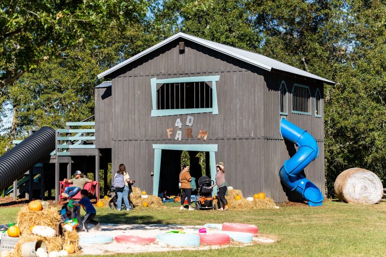 5 fun pumpkin patches to check out around Huntsville 5 fun pumpkin patches to check out around Huntsville